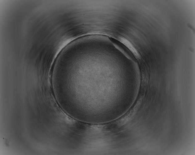 X0000093220908200710031437