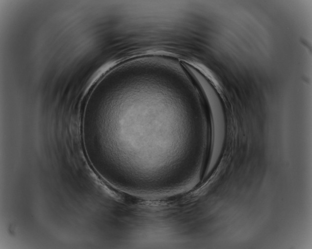 X0000093220910200710031437