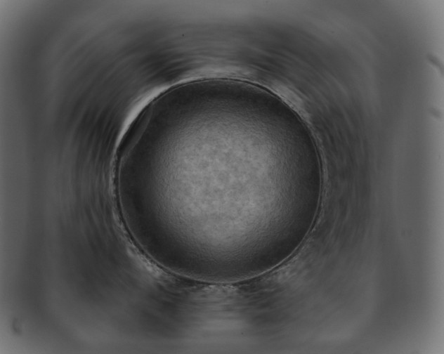 X0000093220912200710031437