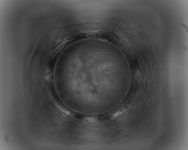 X0000093220914200710031436