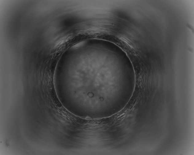 X0000093220917200710031436