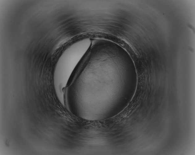 X0000093220919200710031436