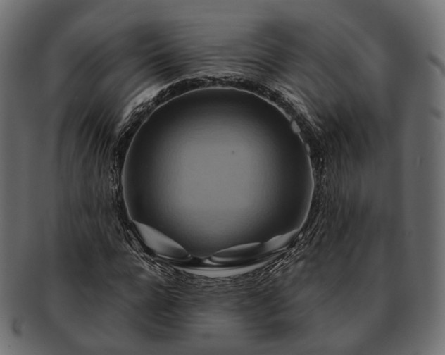 X0000093220920200710031436