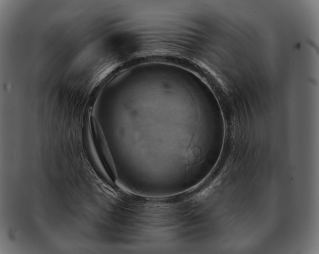 X0000093220921200710031436