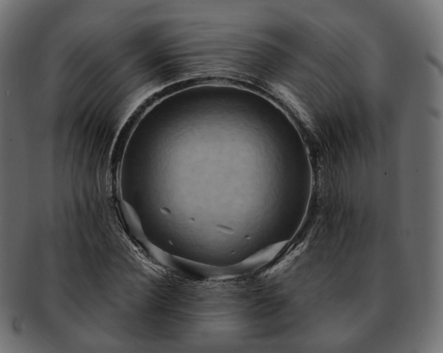 X0000093220924200710031436