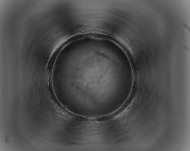 X0000093220925200710031436