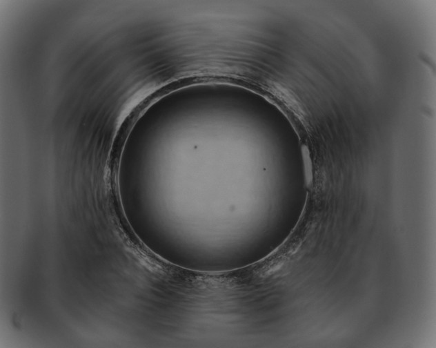 X0000093220928200710031436