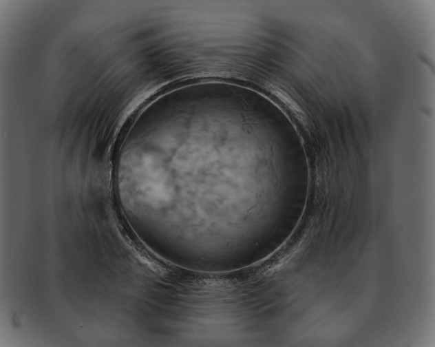 X0000093220933200710031436