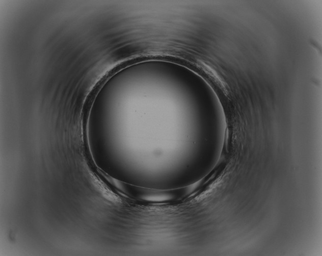 X0000093220934200710031436