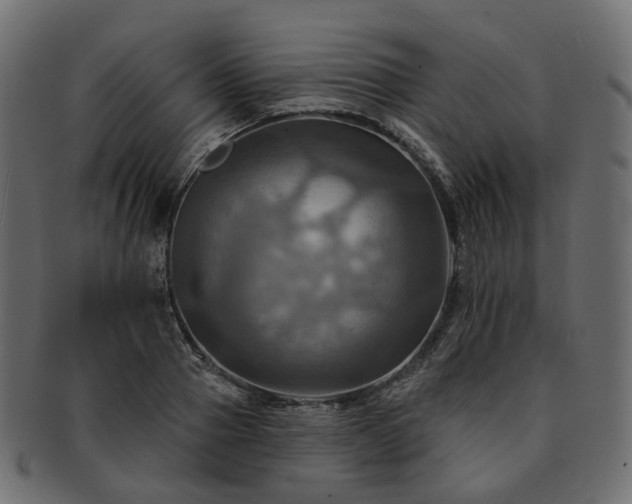 X0000093220937200710031437