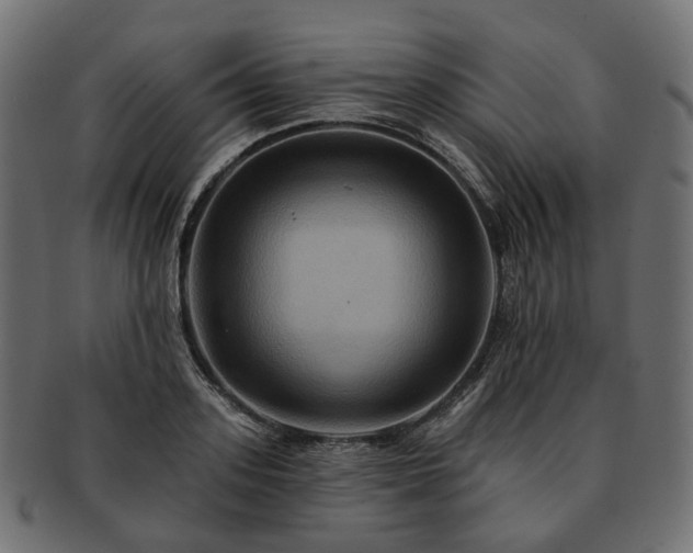 X0000093220939200710031437