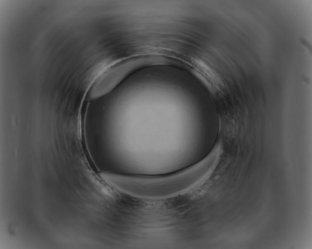 X0000093220940200710031437