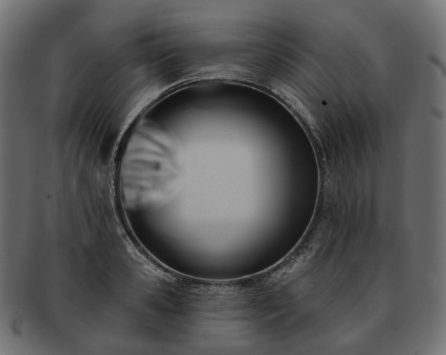 X0000093220941200710031437