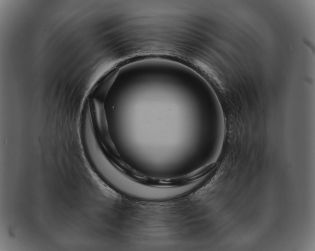 X0000093220942200710031437