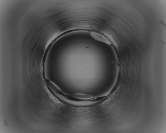 X0000093220944200710031437