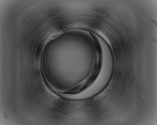 X0000093220946200710031437