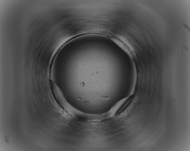 X0000093220948200710031437