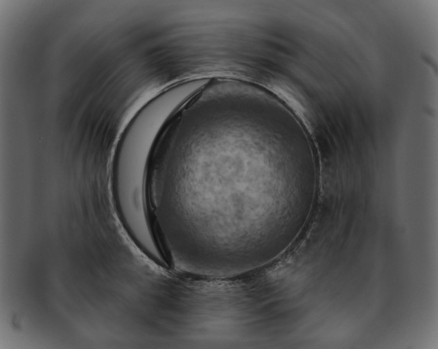 X0000093220949200710031437