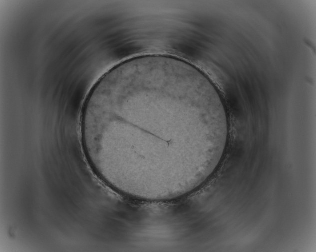 X0000093220950200710031437