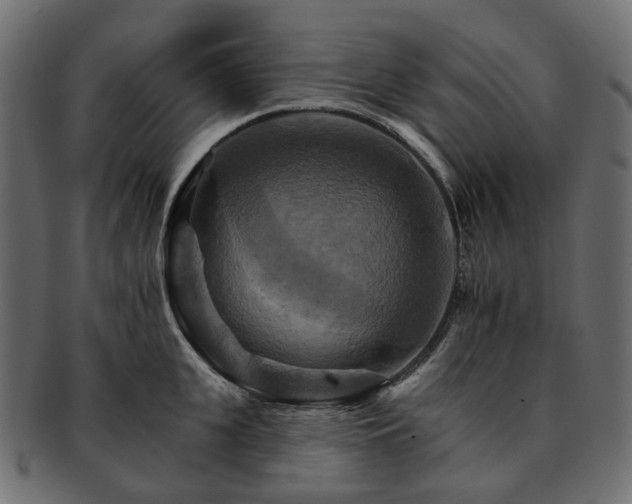 X0000093220951200710031437