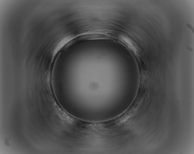 X0000093220952200710031437