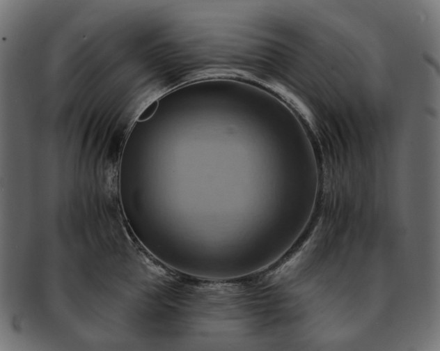 X0000093220953200710031437