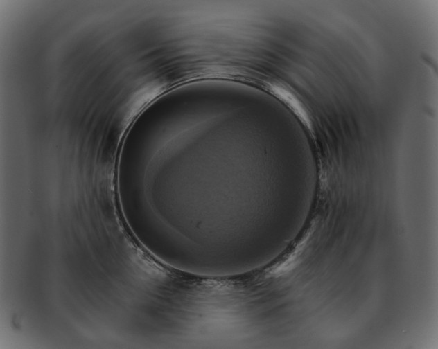 X0000093220954200710031437