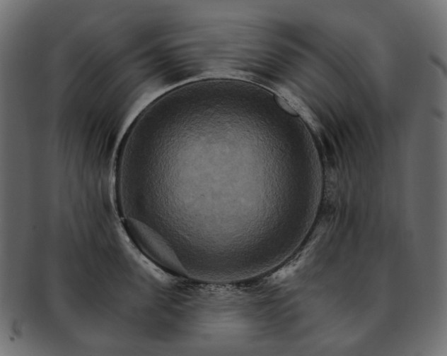 X0000093220955200710031437