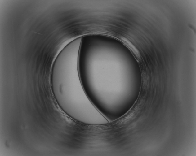 X0000093220956200710031437