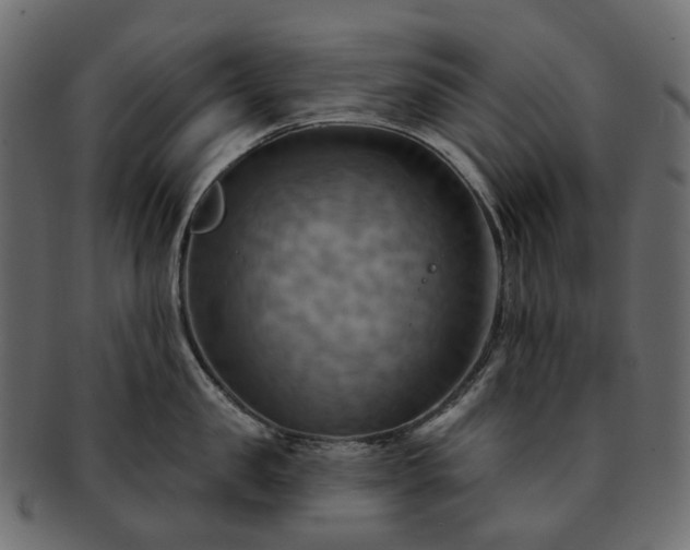 X0000093220957200710031437