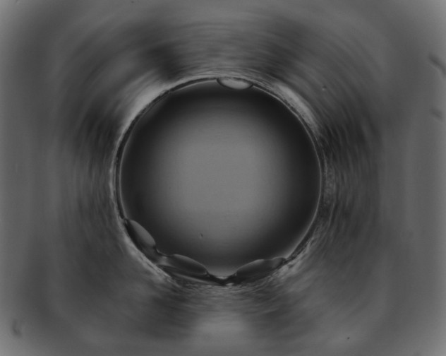 X0000093220958200710031437