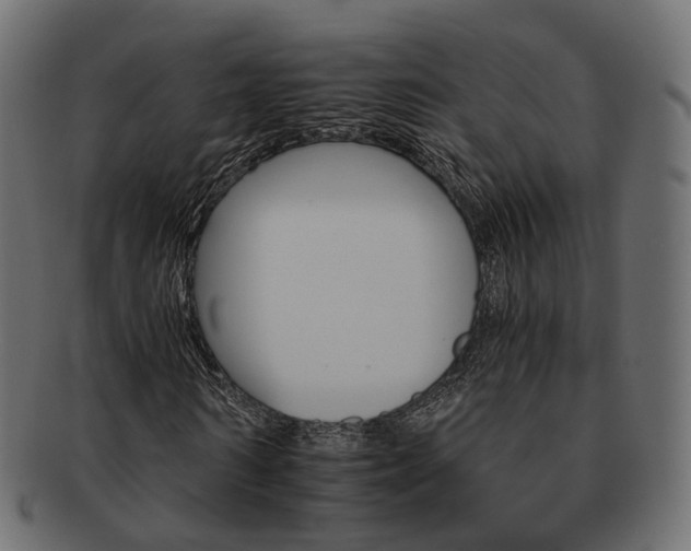 X0000093220962200710031436