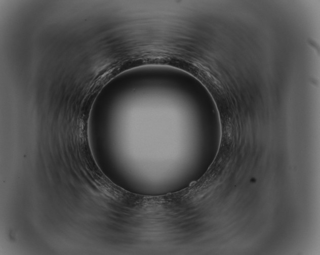 X0000093220964200710031436