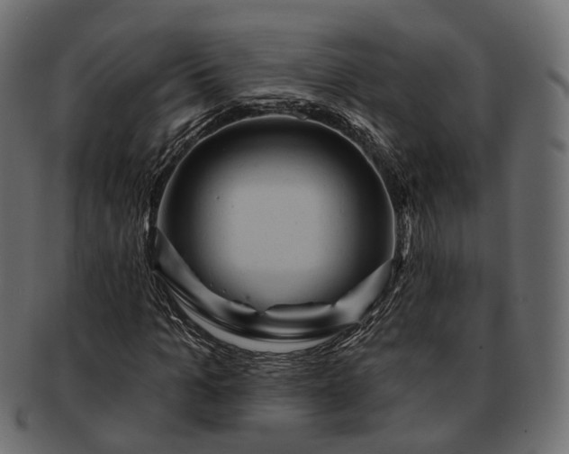 X0000093220965200710031436