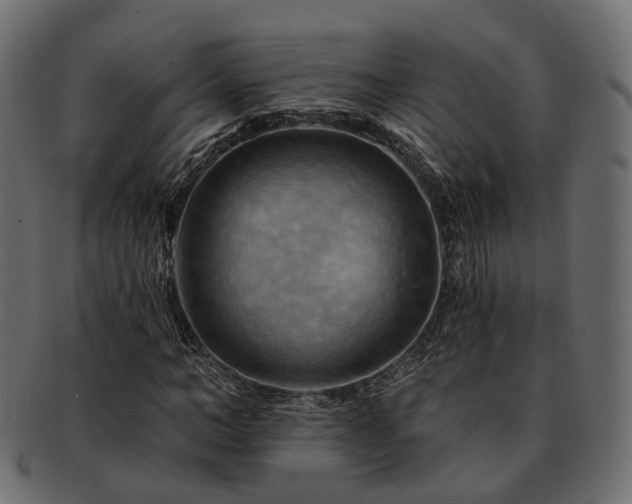 X0000093220966200710031436