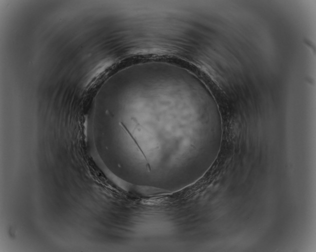 X0000093220967200710031436