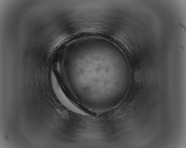 X0000093220968200710031436