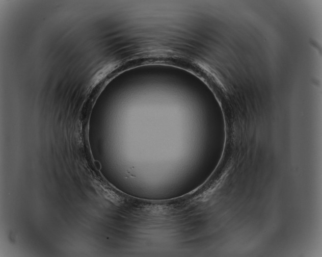 X0000093220970200710031436