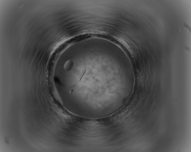 X0000093220971200710031436