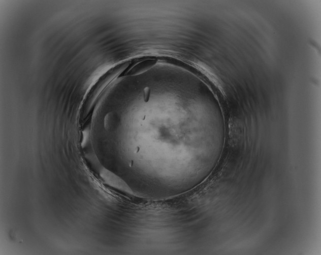 X0000093220972200710031436