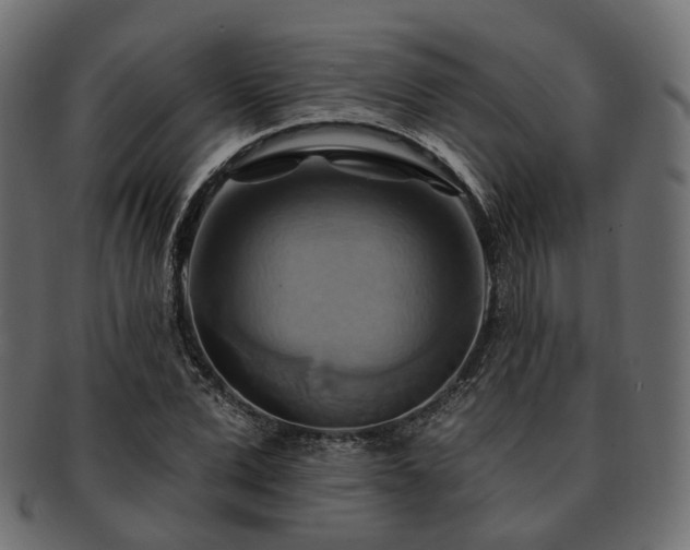 X0000093220975200710031436