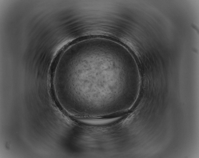 X0000093220979200710031436