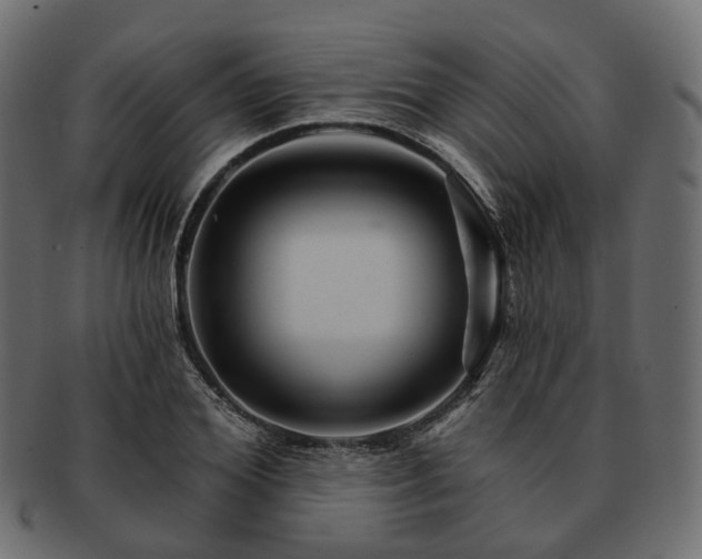 X0000093220980200710031436