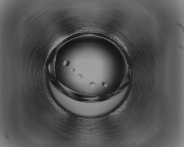 X0000093220981200710031436