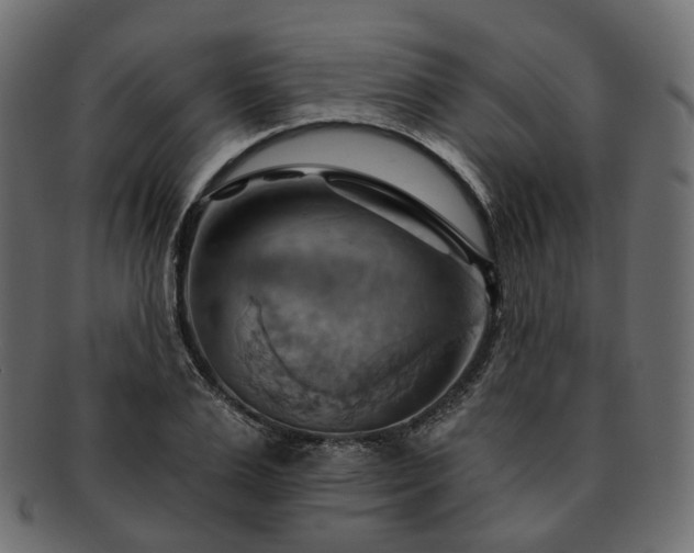 X0000093220983200710031436