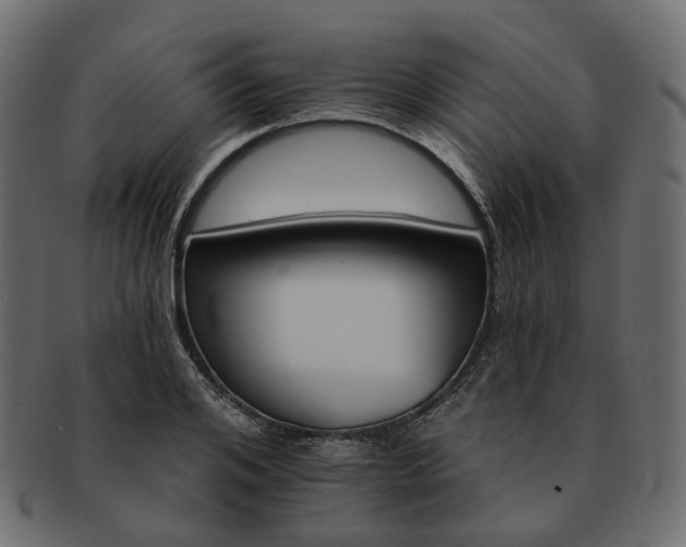 X0000093220984200710031436