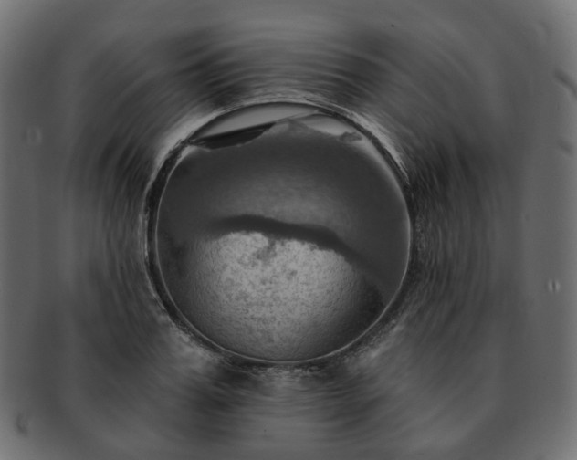 X0000093220987200710031436