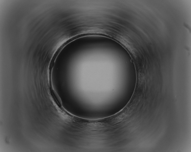 X0000093220988200710031436