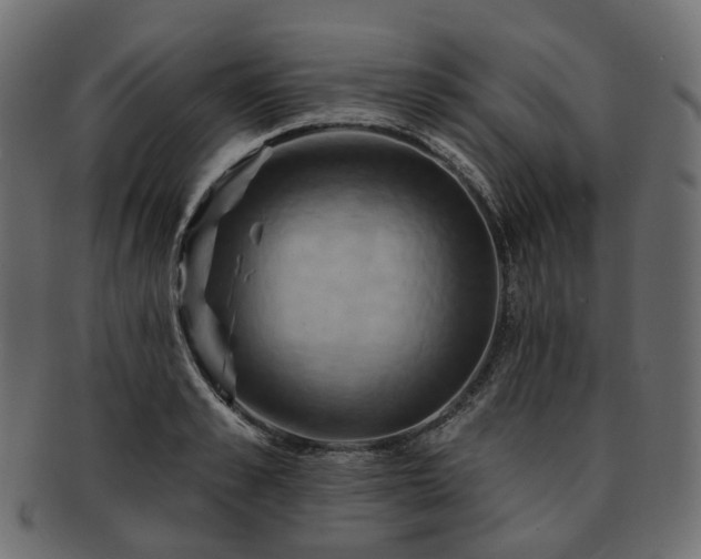 X0000093220989200710031436