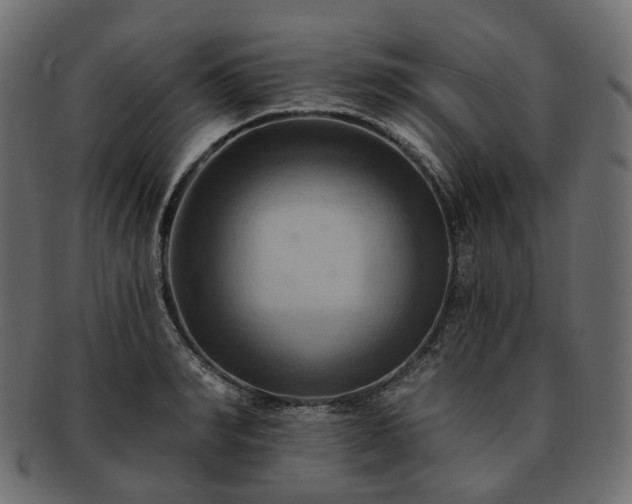 X0000093220990200710031436